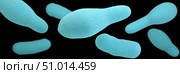 3D illustration of a group of anaerobic, spore-forming, Clostridium sp. organisms. Стоковое фото, фотограф Stocktrek Images, Inc. / ТАСС / Фотобанк Лори