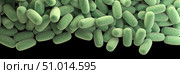 3D illustration of a cluster of barrel-shaped, Clostridium perfringens bacteria. Стоковое фото, фотограф Stocktrek Images, Inc. / ТАСС / Фотобанк Лори