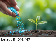 Farmer with fertilizer grains pouring onto the soil. Person applying mineral fertilizer blue granules to green plant. Vegetable garden. Agriculture industry, development, economy investment growth. Стоковое AI-изображение, AI-художник Марина Демидюк / Фотобанк Лори