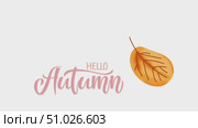 Hello Autumn calligraphy lettering with falling leaf doodle sketch video. Natural animations about beginning of autumn, Thanksgiving day. Autumn script font and leaf. Motion animation. Стоковая анимация, аниматор Kutuzova Elena / Фотобанк Лори
