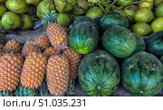 Fresh exotic fruits on the counter: juicy pineapples with golden skin, bright green watermelons with striped patterns and coconuts. Bright and saturated colors create an atmosphere of a tropical market, abundance and summer. Стоковое фото, фотограф Анна Кривицкая / Фотобанк Лори