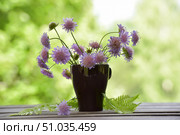 A bouquet of delicate lilac wildflowers in a brown mug standing on a wooden surface. In the background, there is a soft green glare of foliage, creating an atmosphere of summer comfort and freshness. Green fern leaves lie next to the mug, complementing the composition with natural harmony. Стоковое фото, фотограф Анна Кривицкая / Фотобанк Лори