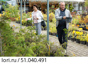 elderly man and woman buying yew at an open market. Стоковое фото, фотограф Татьяна Яцевич / Фотобанк Лори