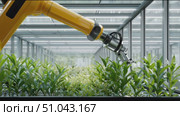 Robotic arm tending to plants in a modern greenhouse environment focused on efficient agriculture. Стоковое AI-видео, аниматор Сергей Толмачёв / Фотобанк Лори