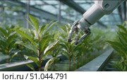 Innovative robot tending to plants in a modern greenhouse during daytime. Стоковое AI-видео, аниматор Сергей Толмачёв / Фотобанк Лори