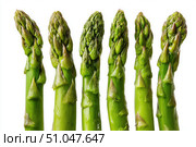 Fresh green asparagus spears grouped in clusters isolated on transparent white background. Detailed texture and vibrant color. Close-up studio of group of fresh asparagus stalks arranged neatly. Стоковое AI-изображение, AI-художник Марина Демидюк / Фотобанк Лори