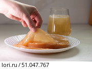 Kombucha Fermentation Process With SCOBY Being Lifted From the Brew. Стоковое фото, фотограф Ольга Коваленко / Фотобанк Лори