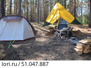 Лагерь в сосновом лесу с палаткой и навесом (2023 год). Редакционное фото, фотограф Николай Кузнецов / Фотобанк Лори