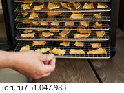 Cooking chips in a dehydrator. A man's hand pulls out a metal rack with dried fruit slices from an electric dehydrator. Стоковое фото, фотограф Роман Дзюбало / Фотобанк Лори