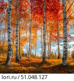 Осенний березовый лес. Стоковое AI-изображение, AI-художник Евгений Моторин / Фотобанк Лори