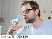 Budgerigar playing with handsome man. Budgie. Funny blue purple parakeet sitting on owner head. Cute violet tamed bird having fun with people. Friendship, relationship with Pets. Cute domestic animals. Стоковое фото, фотограф Марина Демидюк / Фотобанк Лори