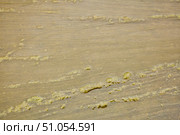 The texture of a muddy puddle with formed mud and quagmire. Стоковое фото, фотограф Наталия Кирсанова / Фотобанк Лори