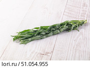 Fresh green estragon aroma stem. Стоковое фото, фотограф Андрей Старостин / Фотобанк Лори