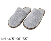 Home room slippers on felt. Комнатные войлочные тапочки. Стоковое фото, фотограф Roman B. / Фотобанк Лори