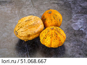 Decorative yelow pampkin seasonal vegetables. Стоковое фото, фотограф Андрей Старостин / Фотобанк Лори