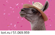 A charismatic llama stands confidently against a vibrant pink background, wearing a stylish straw hat tilted with flair. The scene is filled with scattered confetti, creating a festive, humorous atmosphere. The llama’s proud expression adds charm and personality, making it a standout character in a playful celebration. The bright setting, combined with whimsical elements, conveys joy, fun, and a touch of absurdity, ideal for themes involving parties, humor, or quirky animal portraits. Стоковое AI-изображение, AI-художник Ксения Чунаева / Фотобанк Лори