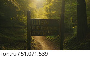 A dirt path through a forest leads to a sign at the entrance. Стоковое AI-видео, аниматор Данила Большаков / Фотобанк Лори