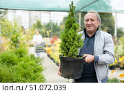 Aged man customer buying plants in open-air market. Стоковое фото, фотограф Татьяна Яцевич / Фотобанк Лори
