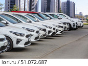 Cars For Sale Stock Lot Row. Стоковое фото, фотограф Юрий Бизгаймер / Фотобанк Лори