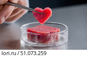 Scientist holding heart shaped piece of cultured meat with tweezers. Стоковое AI-изображение, AI-художник Юрий Поздников / Фотобанк Лори