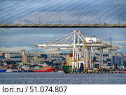Рыбный порт Владивосток. Редакционное фото, фотограф Яна Савинова / Фотобанк Лори