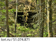 An abandoned concrete structure hidden in a dense forest, partially camouflaged by natural vegetation. The entrance to the structure is a dark opening surrounded by moss, dry branches and tree roots hanging from above. In front of it grow young pine trees, ferns and other forest vegetation. The atmosphere of the frame is mysterious and a little gloomy, with a hint of abandonment and a forgotten past. The picture conveys the feeling of a hidden object lost among the trees and can be associated with the theme of military history, bunkers or abandoned buildings. Стоковое фото, фотограф Анна Кривицкая / Фотобанк Лори