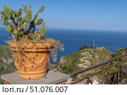 A terracotta pot with a prickly pear cactus and dry vegetation sits on a stone ledge. Редакционное фото, фотограф Виктор Ветошкин / Фотобанк Лори