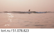 Surfer riding on longboard in ocean on small fun wave with sunset sun light. Стоковое видео, видеограф Wonderful nature / Фотобанк Лори