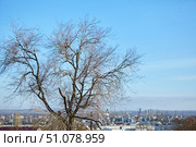 KERCH, CRIMEA - February 03, 2019: Kerch city, view from Mount Mitridat. Редакционное фото, фотограф Наталия Кирсанова / Фотобанк Лори