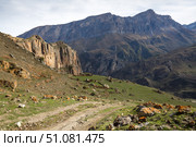 View of Cherek gorge in the Caucasus mountains. Стоковое фото, фотограф Юлия Белоусова / Фотобанк Лори