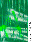 Green Drip Paint Pattern with Neon Highlights for Funky 2000s Aesthetic. Стоковое фото, фотограф Александра Конопля / Фотобанк Лори