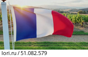 A close-up of the French flag in the foreground with a picturesque vineyard landscape in the background during sunset. The scene captures the essence of Bastille Day. Стоковое AI-видео, аниматор Nart / Фотобанк Лори