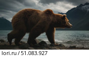 A large brown bear walks along the rocky shore of a lake under a cloudy sky. The bear has thick fur and a powerful build, showcasing its natural habitat. Стоковое AI-видео, аниматор Nart / Фотобанк Лори