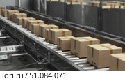 A conveyor belt transports cardboard boxes in a warehouse setting. The boxes are uniformly sized and stacked neatly, indicating an efficient packaging process. Стоковое AI-видео, аниматор Nart / Фотобанк Лори