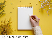 Woman's hand writing in empty notebook at the desk with Christmas decoration. Back to life, goal list. Plan, goals, checklist, idea concept. Top view, copy space. New Year. Blank White Paper Sheet. Стоковое AI-изображение, AI-художник Марина Демидюк / Фотобанк Лори