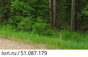 View through side window of car auto in motion on road. Highway along green forest and trees in summer. Tourism and travel, journey trip concept. Beautiful nature and landscape. Car speeding on road. Стоковое видео, видеограф Марина Демидюк / Фотобанк Лори