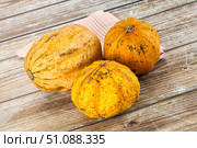 Decorative yelow pampkin seasonal vegetables. Стоковое фото, фотограф Андрей Старостин / Фотобанк Лори