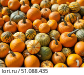 Pumpkins background. autumn orange background harvest holiday. Стоковое AI-изображение, AI-художник Ирина Самойлова / Фотобанк Лори