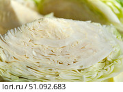 White cabbage close-up. Cutaway cabbage. Layers of cabbage. Cooking. Стоковое фото, фотограф Анастасия  Гудантова / Фотобанк Лори