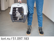 A woman is holding a travel cage with a dog inside. Holidays with a pet. Papillon dog butterfly. Стоковое фото, фотограф Михаил Решетников / Фотобанк Лори