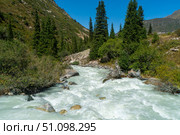 Milky glacier stream river rushes through rocky gorge beneath spruce and juniper under sky. Hikers scout safe ford toward Ala-Archa alpine camp tien shan for trekking climbing mountaineering. Стоковое фото, фотограф Андрей Ка / Фотобанк Лори