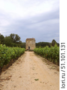 Farmland. Provence, France. Стоковое фото, фотограф Знаменский Олег / Фотобанк Лори