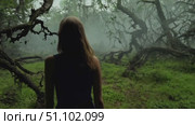 A young woman stands in a foggy forest, surrounded by twisted trees and mysterious shadows. Стоковое AI-видео, аниматор Данила Большаков / Фотобанк Лори