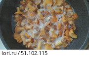 Chanterelles are cooked in frying pan. Mushrooms are golden-orange, with a white foam showing that they are releasing liquid. Стоковое видео, видеограф Елена Никишина / Фотобанк Лори