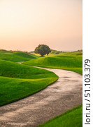 Paved path meanders through rolling green hills of a golf course, leading towards a lone tree bathed in the warm glow of the setting sun, creating a serene and picturesque landscape. Стоковое фото, фотограф Ольга Ильина / Фотобанк Лори