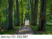 View of the alley with a bridge on the territory of the Mikhailovskoye estate in the Pushkin State Museum-Reserve on a sunny summer day, Pushkinskiye Gory, Pskov region, Russia. Стоковое фото, фотограф Ula Ulachka / Фотобанк Лори