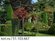 A park with landscaping and bushes of various shapes, a garden. Стоковое фото, фотограф ~✿Eлена Челышева(Кочина)✿~ / Фотобанк Лори