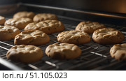 Deliciously Freshly Baked Cookies Nicely Arranged on the Oven Rack for Everyone to Enjoy. Стоковое AI-изображение, AI-художник Лариса Пономарева / Фотобанк Лори