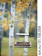 The sparrow bird is sitting in the feeder. The time of the year is autumn. Taking care of animals and birds in the cold season. Стоковое фото, фотограф Наталия Кирсанова / Фотобанк Лори