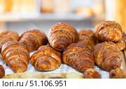 Showcase of traditional bakery shop with appetizing croissants. Стоковое фото, фотограф Яков Филимонов / Фотобанк Лори
